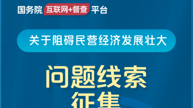 操女免费国务院“互联网+督查”平台公开征集阻碍民营经济发展壮大问题线索